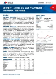 2025年三季报点评：业绩平稳增长，规模扩张提速