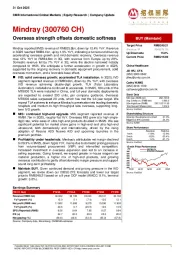 Overseas strength offsets domestic softness