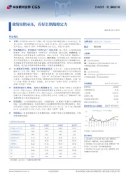 业绩短期承压，看好长期战略定力