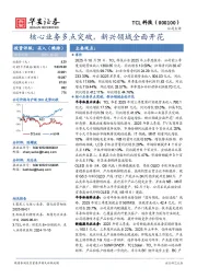 核心业务多点突破，新兴领域全面开花