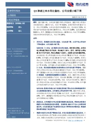 Q3雅砻江来水同比偏枯,公司业绩小幅下滑