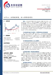 山外山：业绩超预期，收入持续高增长