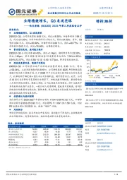 2025年三季报点评:业绩稳健增长,Q3表现亮眼
