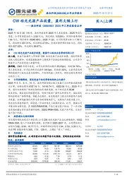 2025年三季度报告点评:CW硅光光源产品放量,盈利大幅上行