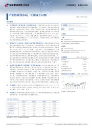 产业链纵深布局，长期成长可期