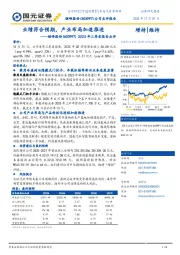 2025年三季度报告点评：业绩符合预期，产业布局加速推进