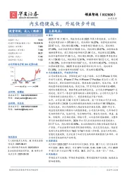 内生稳健成长，外延快步升级