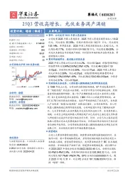 25Q3营收高增长，光伏业务满产满销