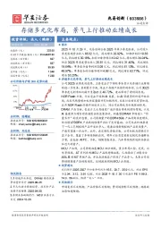 存储多元化布局，景气上行推动业绩成长