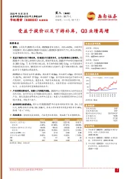 2025年三季报点评：受益于提价以及下游补库，Q3业绩高增