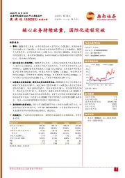 核心业务持续放量，国际化进程突破