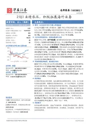 25Q3业绩承压，积极拓展海外业务