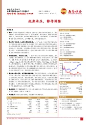 短期承压，静待调整