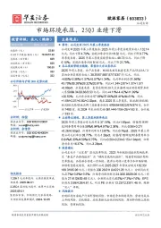 市场环境承压，25Q3业绩下滑