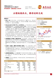 业绩短期承压，静待创新兑现