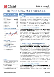 Q3净利同比增长，磷氟等项目有序推进