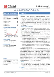 持续丰富“存储+”产品矩阵