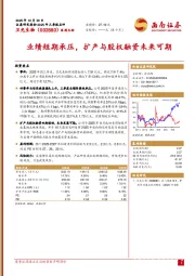 业绩短期承压，扩产与股权融资未来可期