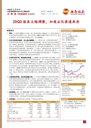 25Q3报表大幅调整，加速去化渠道库存