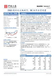 25Q3同环比大幅减亏，BC组件出货放量