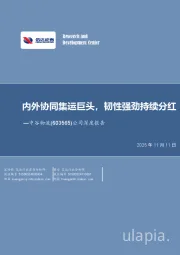 公司深度报告：内外协同集运巨头，韧性强劲持续分红
