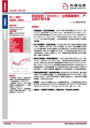 公司简评报告：业绩稳健增长，产品线不断丰富