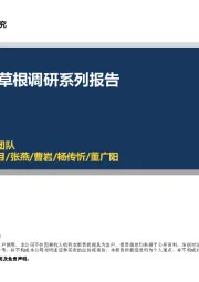 电商渠道草根调研系列报告