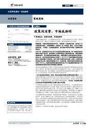 策略周报：政策促消费、市场底渐明
