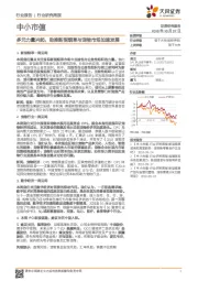 中小市值:多元力量兴起,助推新型烟草与宠物市场加速发展
