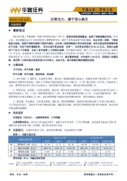 策略日报：反弹无力，源于信心缺乏