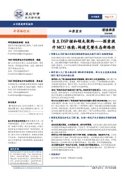探索提升MCU性能、构建完整生态新路径:自主DSP核和领先架构