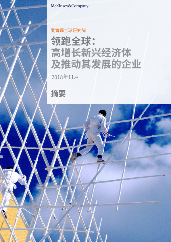 领跑全球：高增长新兴经济体及推动其发展的企业