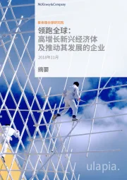 领跑全球:高增长新兴经济体及推动其发展的企业