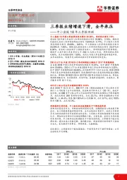 中小盘股18年三季报回顾：三季报业绩增速下滑，全年承压