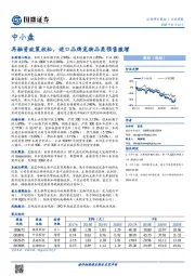 中小盘行业周报：再融资政策放松，进口品牌宠物品类预售激增