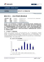 2018年12月策略月报：拨云见日，关注市场交易性机会