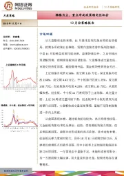 12月份策略报告：维稳为主，重点布局政策确定性机会