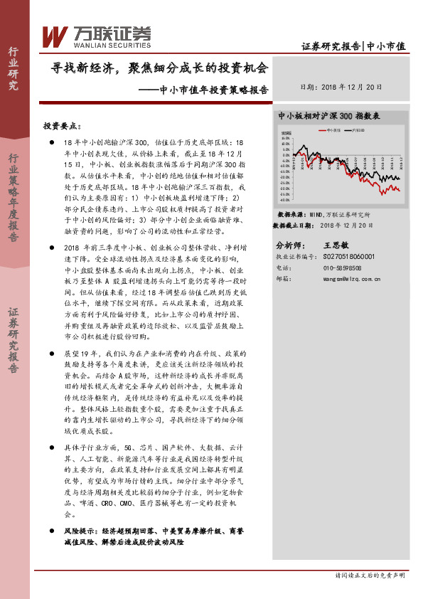 中小市值年投资策略报告：寻找新经济，聚焦细分成长的投资机会