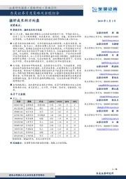 月度策略及金股组合：握好成长的方向盘