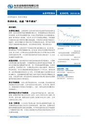 策略点评报告：保持积极，把握“新年躁动”