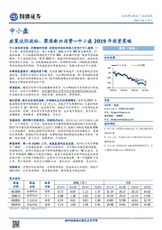 中小盘2019年投资策略：政策边际放松，聚焦新兴消费