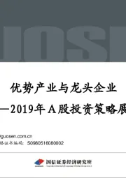 2019年A股投资策略展望：优势产业与龙头企业