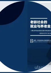 兼论养老金领取机制和弹性退休政策：老龄社会的就业与养老金