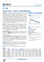 中小盘行业周报：宠物医疗再整合，连锁超千店的新瑞鹏集团起航