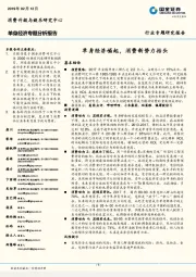 单身经济专题分析报告：单身经济崛起，消费新势力抬头