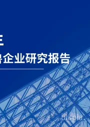 2018年中国独角兽企业研究报告