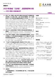 MSCI增加A股权重点评：2019年完成“三步走”，边际利好中小创