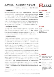 2019年2月25日至3月1日周报（第133期）：反弹末期，关注补涨和两会主题