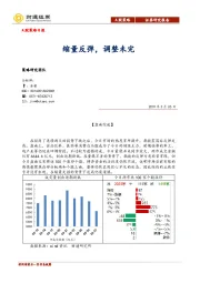 A股策略日报：缩量反弹，调整未完