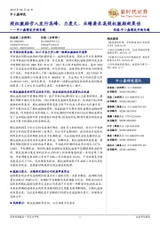 中小盘增发并购专题:股权激励步入发行高峰,力度大、业绩要求高股权激励效果佳